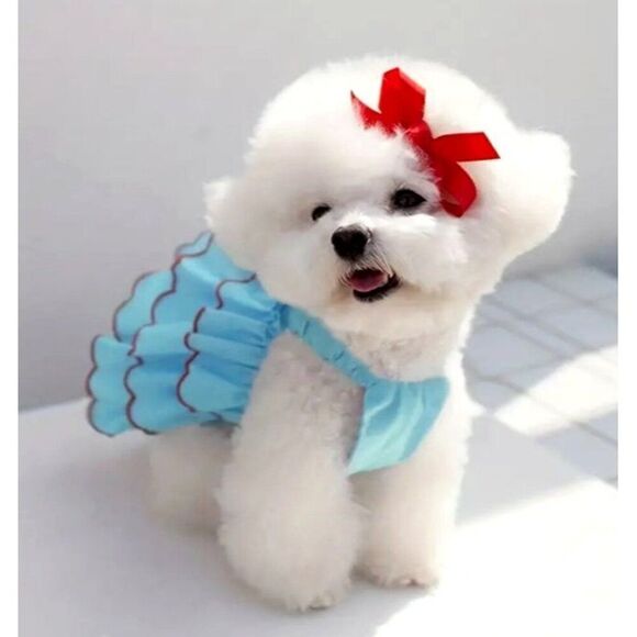 Blue Dog Pet Cat S Dress NWOT - Picture 2 of 3